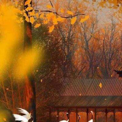 上神之战内购破解版下载